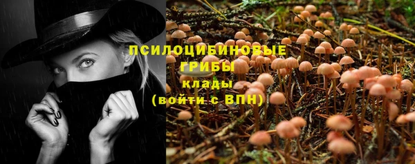 спиды Абаза