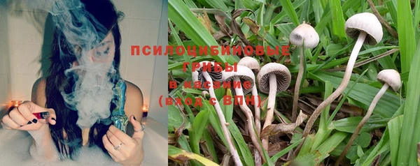 прущие грибы Абдулино