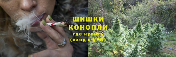прущие грибы Абдулино
