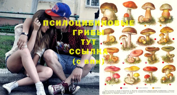 спиды Абаза