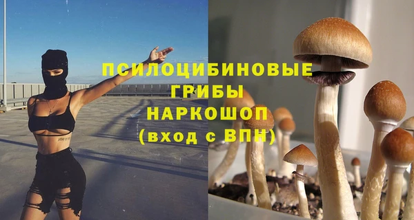 прущие грибы Абдулино