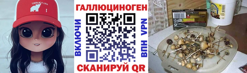 Галлюциногенные грибы ЛСД  Иваново 